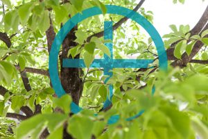 PortfolioCoaching-Ausbildung